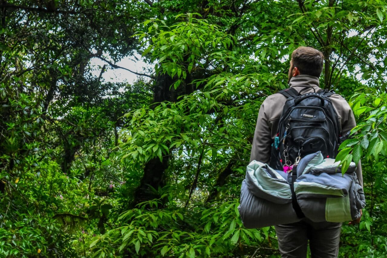 Man hiking in a forest.